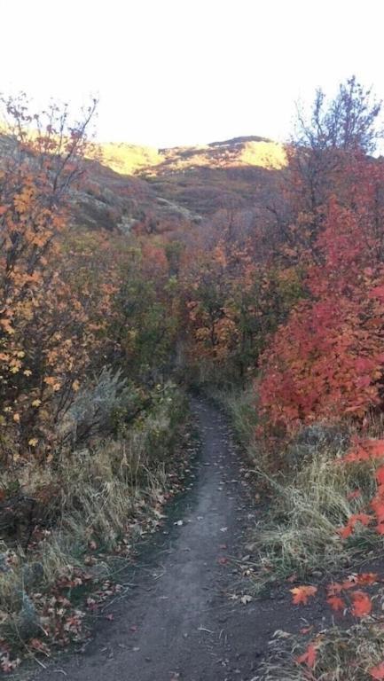Stay & Play In The Little Switzerland Of Utah!!! เดรเปอร์ ภายนอก รูปภาพ